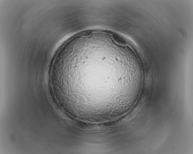 X0000113021279200909101830