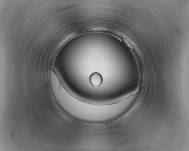 X0000113021281200909101830