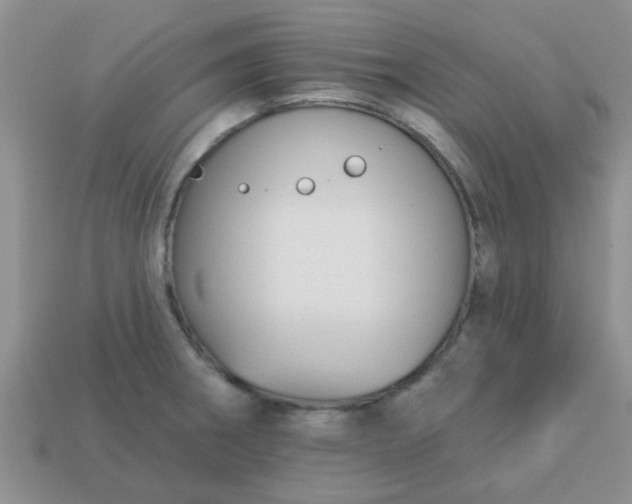 X0000113021282200909101830