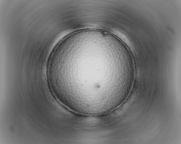 X0000113021283200909101830