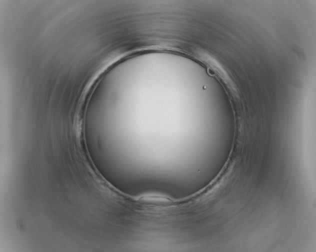 X0000113021284200909101830