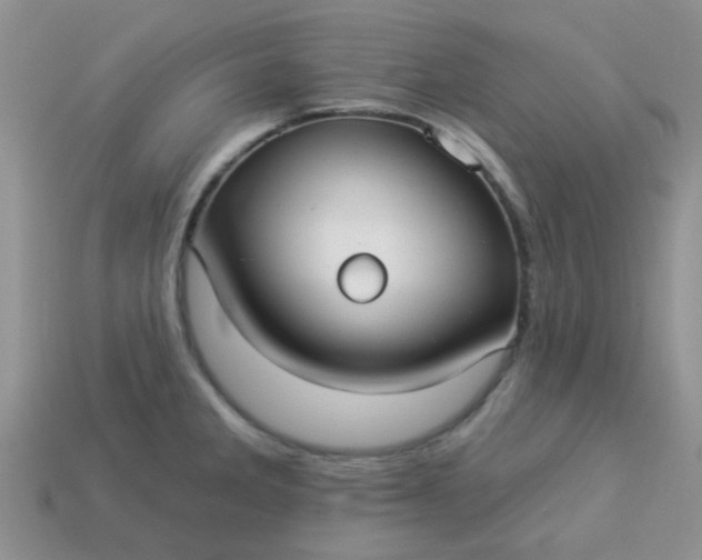 X0000113021285200909101830