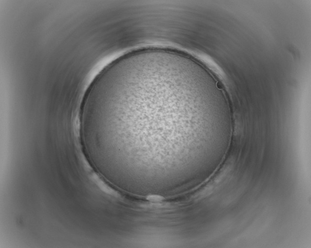 X0000113021287200909101830