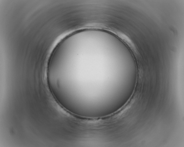 X0000113021288200909101830