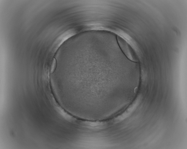 X0000113021289200909101830