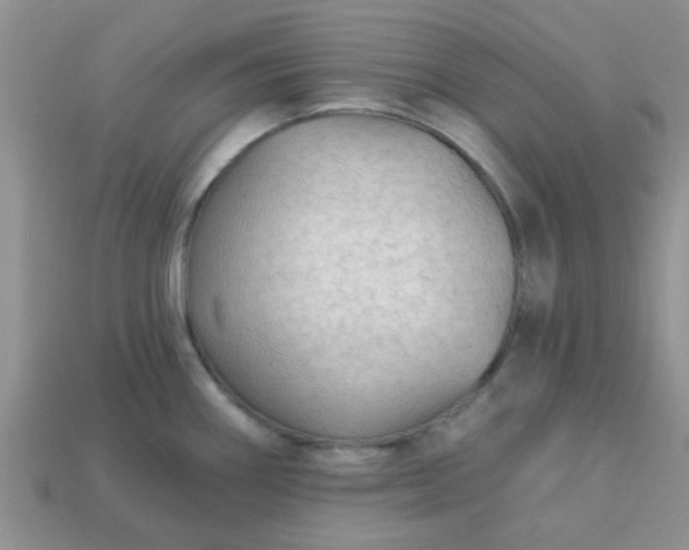 X0000113021290200909101830