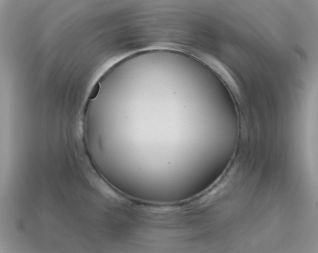 X0000113021292200909101830