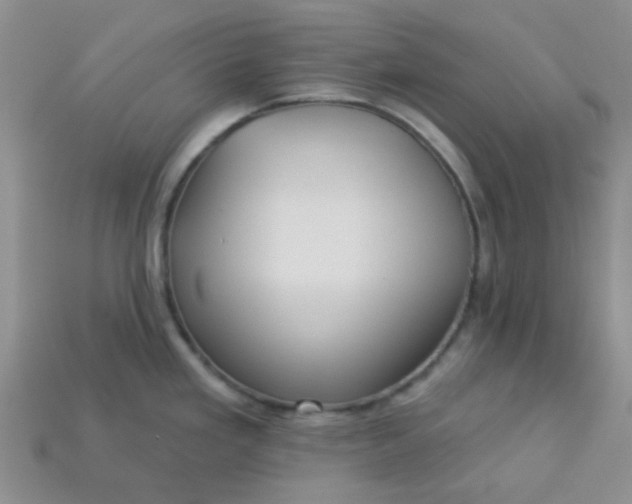 X0000113021293200909101830