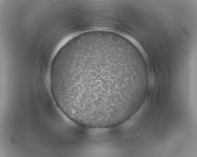 X0000113021294200909101830