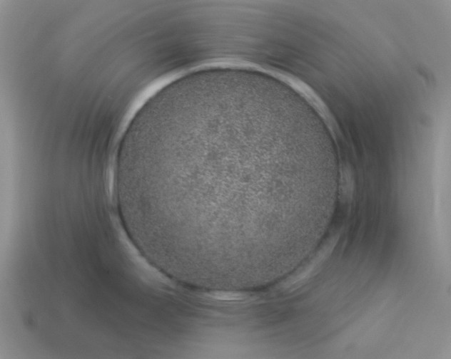 X0000113021295200909101830