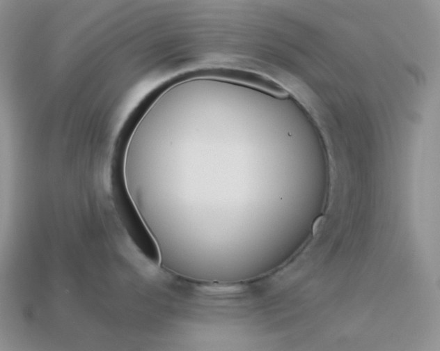 X0000113021296200909101830