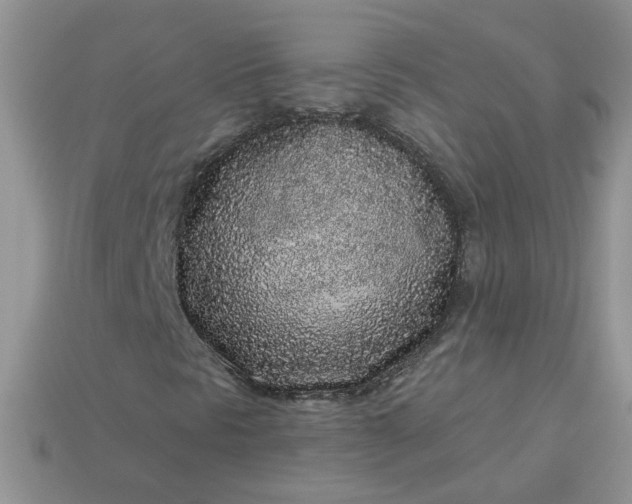 X0000113021297200909101829