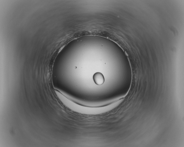 X0000113021298200909101829