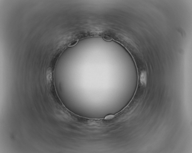 X0000113021299200909101829