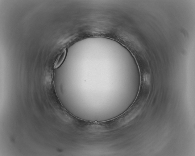 X0000113021300200909101829