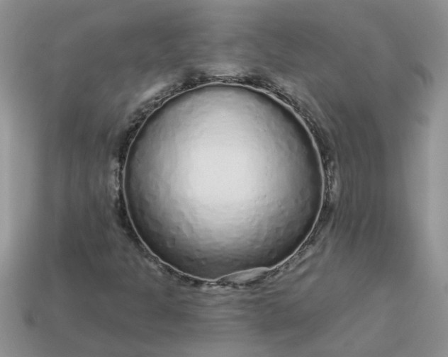 X0000113021301200909101829