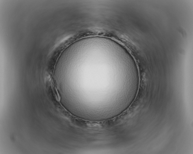 X0000113021302200909101829