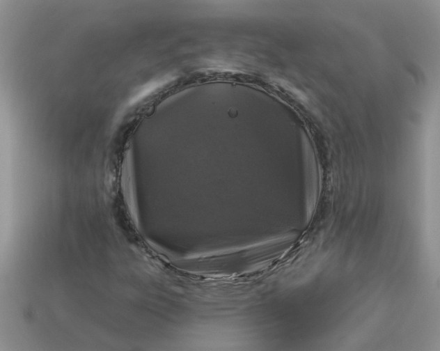 X0000113021303200909101829
