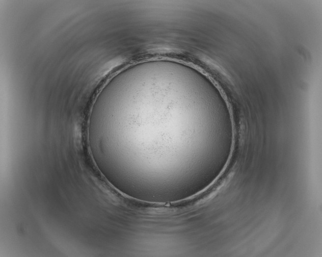 X0000113021305200909101830