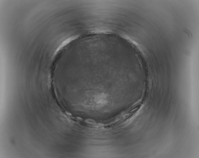 X0000113021306200909101830