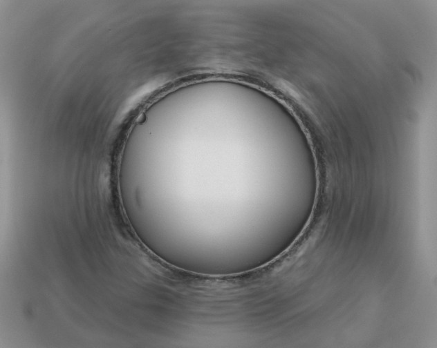 X0000113021307200909101830