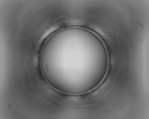 X0000113021309200909101830