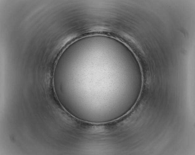 X0000113021313200909101830