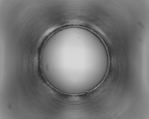 X0000113021315200909101830