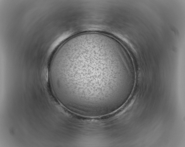 X0000113021317200909101830