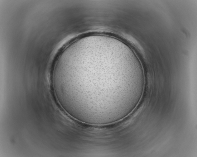 X0000113021318200909101830