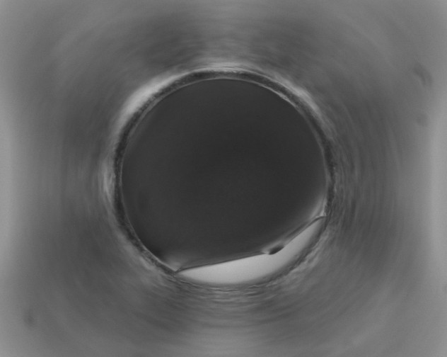 X0000113021319200909101830