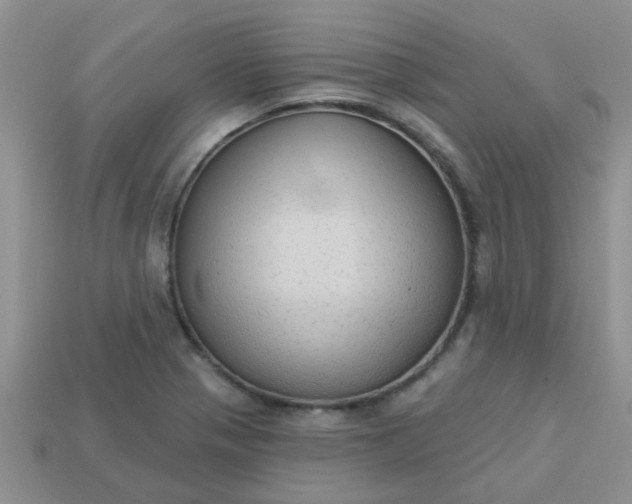 X0000113021321200909101830