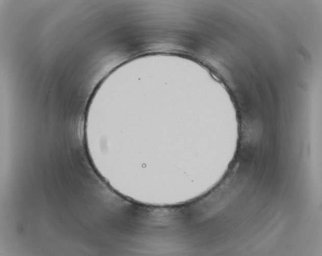 X0000113021322200909101830