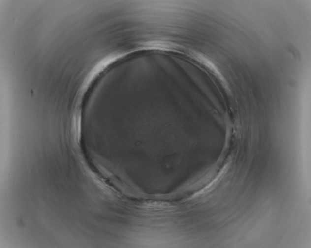 X0000113021323200909101830