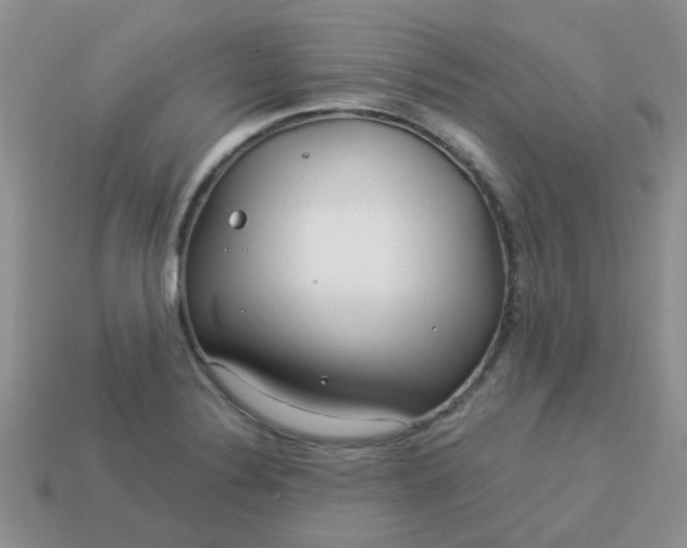 X0000113021324200909101830