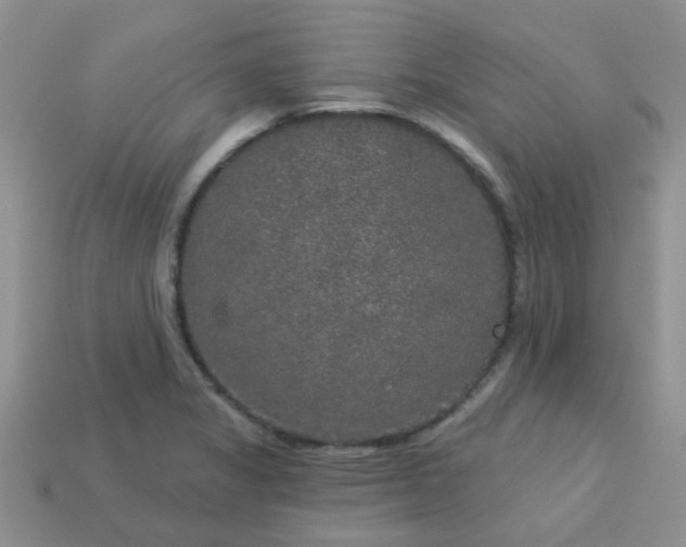X0000113021325200909101830