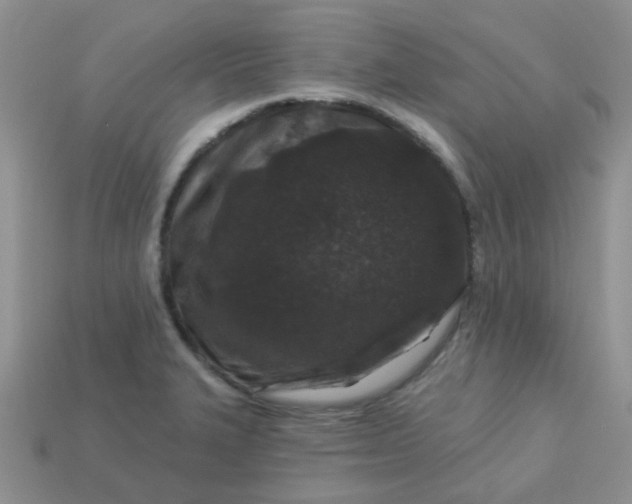 X0000113021327200909101830