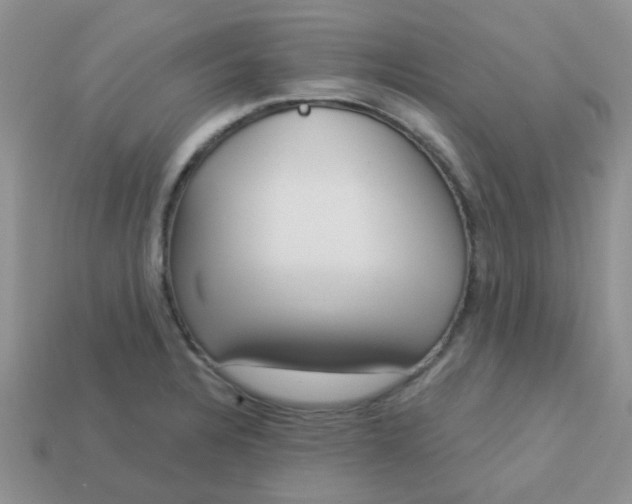 X0000113021328200909101830