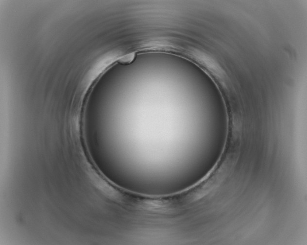 X0000113021330200909101830