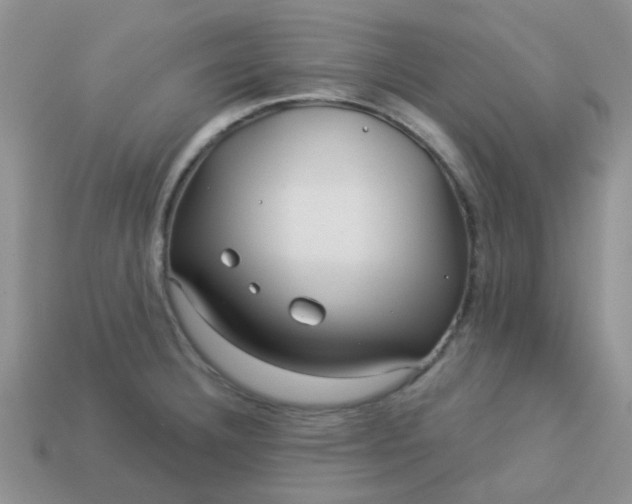 X0000113021332200909101830