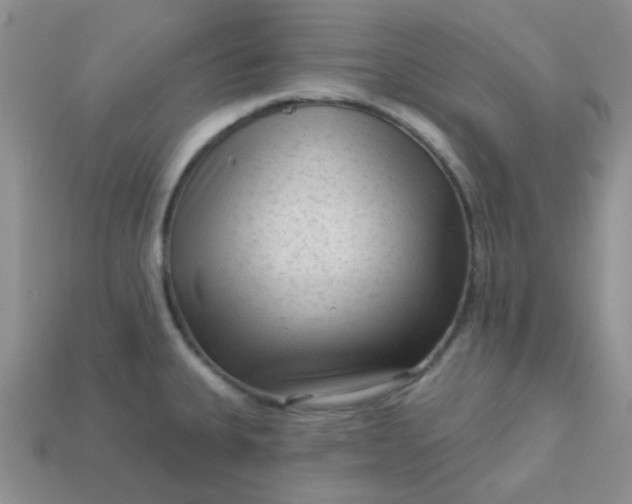 X0000113021335200909101830