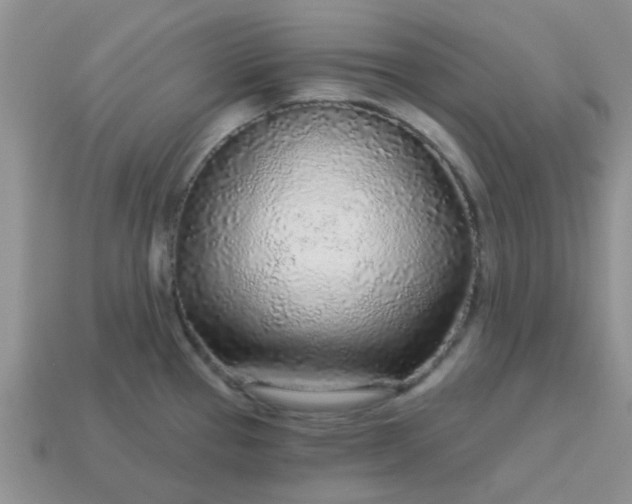 X0000113021337200909101830