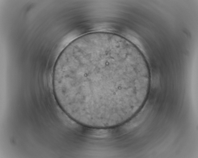 X0000113021338200909101830
