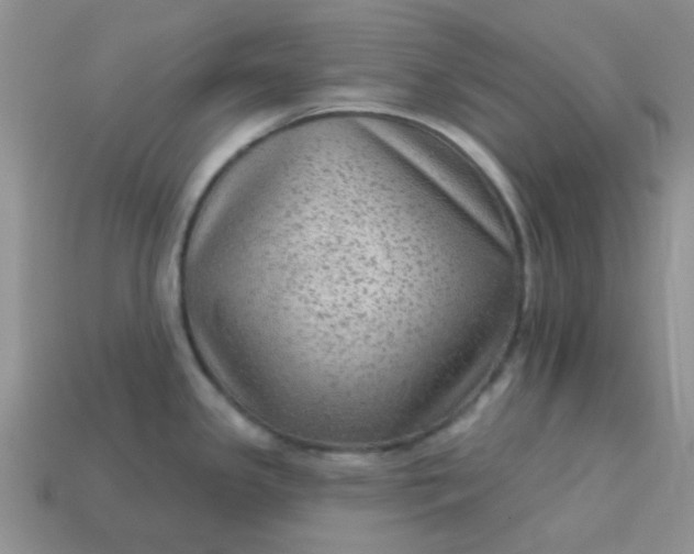 X0000113021341200909101830