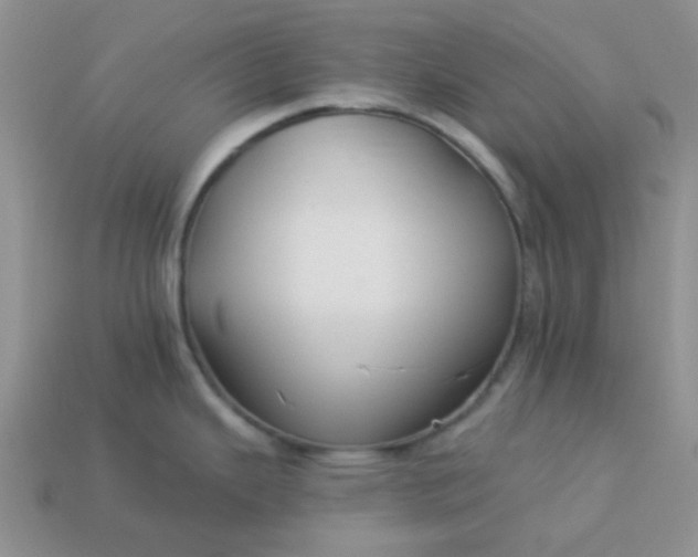 X0000113021343200909101830
