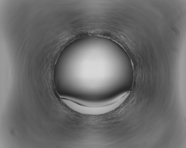 X0000113021345200909101829