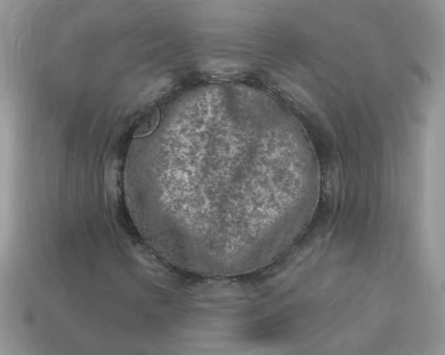 X0000113021346200909101829