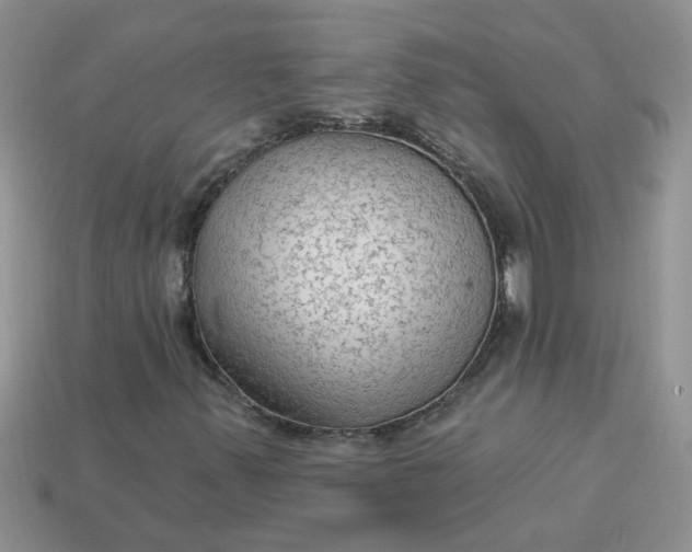 X0000113021347200909101829