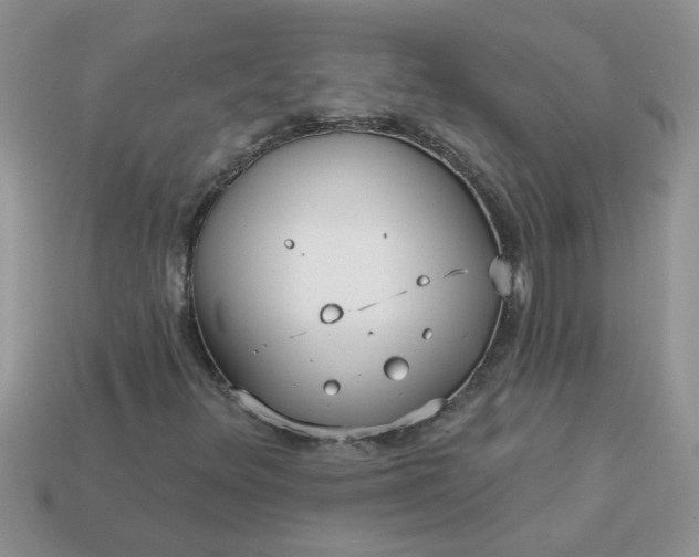 X0000113021348200909101829