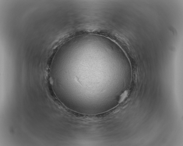 X0000113021349200909101829